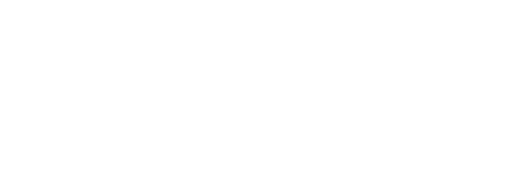 auXcar